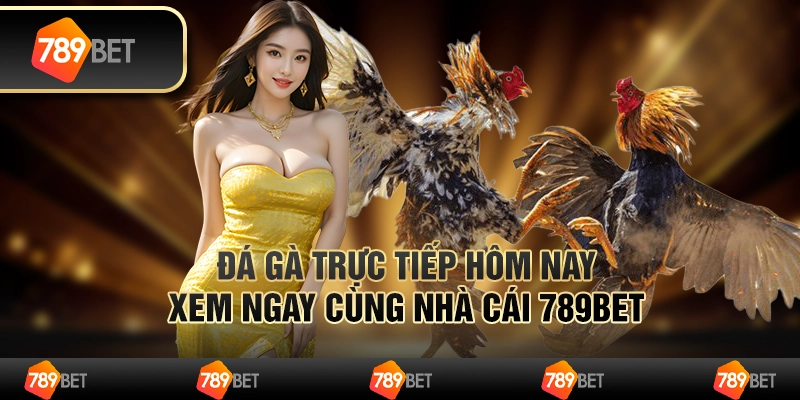 Đá Gà Trực Tiếp Hôm Nay Xem Ngay Cùng Nhà Cái 789BET