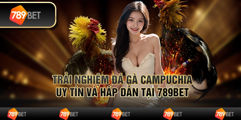 Trải Nghiệm Đá Gà Campuchia Uy Tín Và Hấp Dẫn Tại 789BET