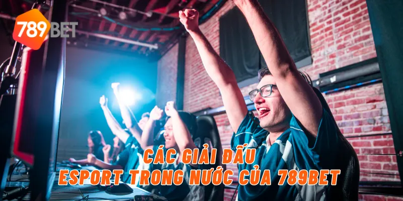 Các giải đấu esport trong nước của 789BET