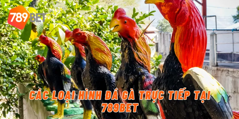 Các loại hình trực đá gà trực tiếp tại 789BET