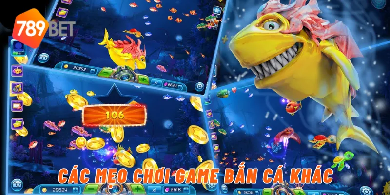 Lưu ý khi chơi game bắn cá tại nền tảng 789BET