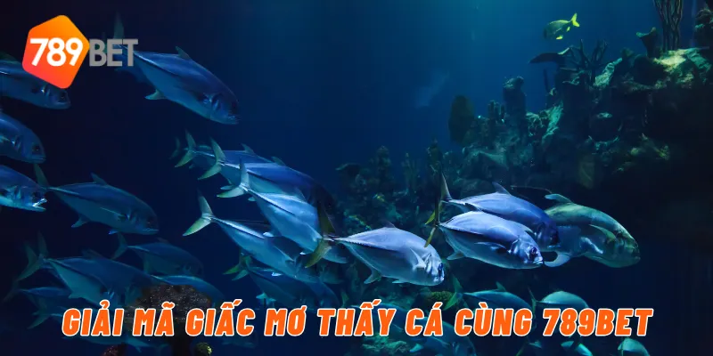 Giải mã giấc mơ thấy cá cùng 789BET