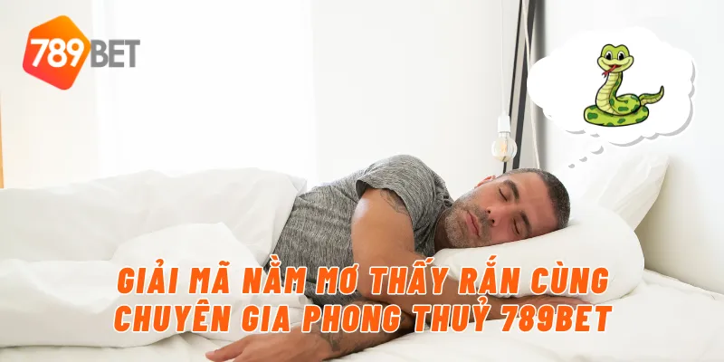Giải mã nằm mơ thấy rắn cùng chuyên gia phong thuỷ 789BET