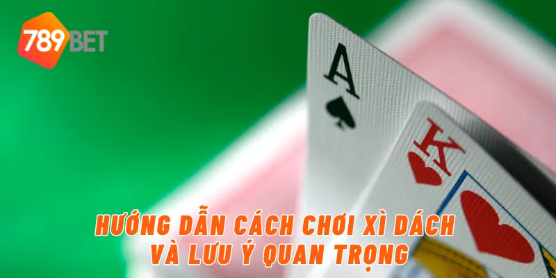 Hướng dẫn cách chơi xì dách và lưu ý quan trọng