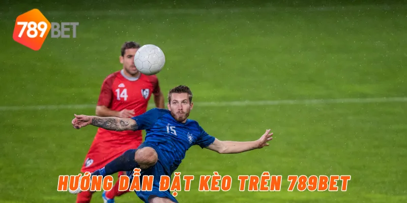 Hướng dẫn đặt kèo trên 789BET