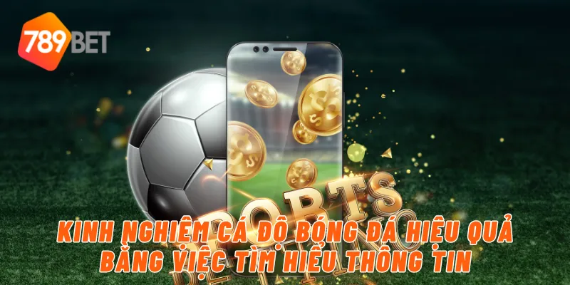 Kinh nghiệm cá độ bóng đá hiệu quả bằng việc tìm hiểu thông tin