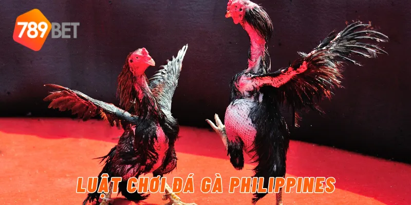 Luật chơi đá gà philippines