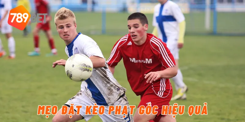 Mẹo đặt kèo phạt góc hiệu quả