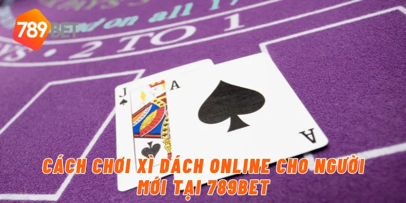 Cách chơi xì dách online cho người mới tại 789BET