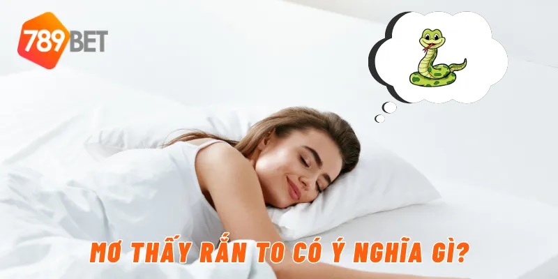 Mơ thấy rắn to có ý nghĩa gì?