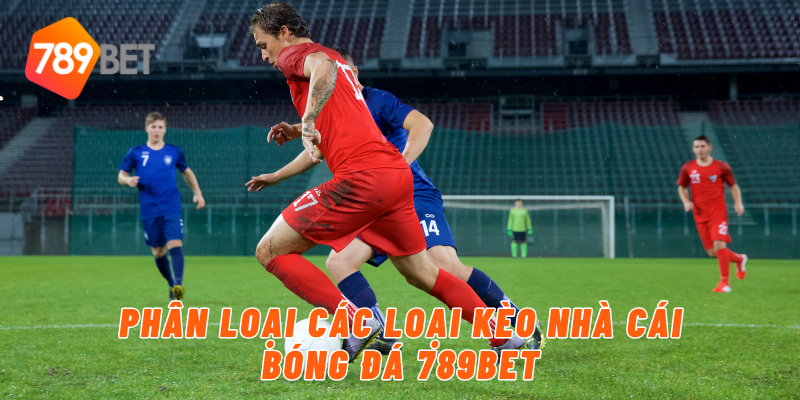 Phân loại các loại kèo nhà cái bóng đá 789BET