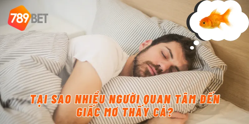 Tại sao nhiều người quan tâm đến giấc mơ thấy cá?