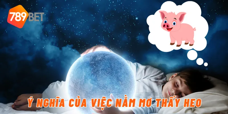 Ý nghĩa của việc nằm mơ thấy heo