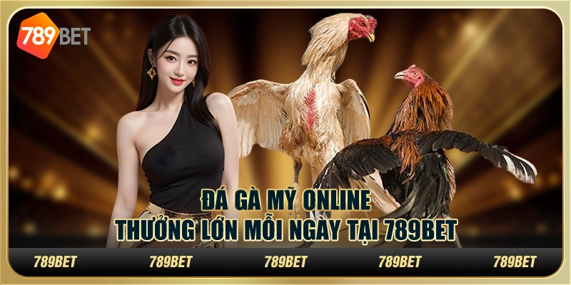 Đá Gà Mỹ Online, Thưởng Lớn Mỗi Ngày Tại 789BET