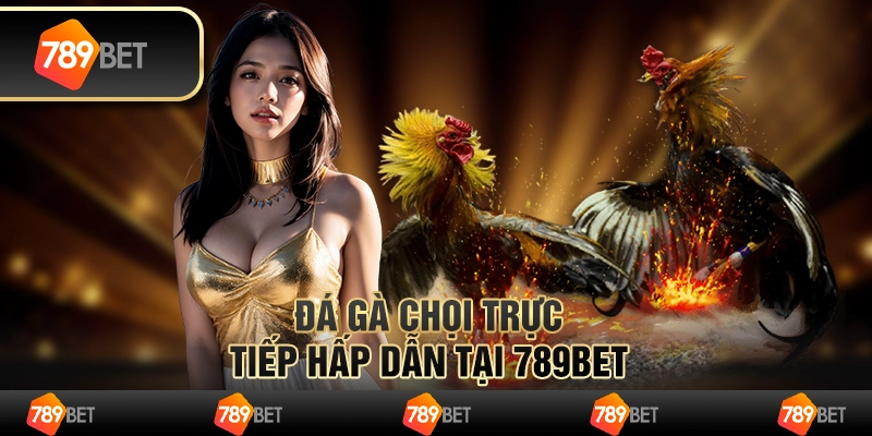Đá Gà Chọi Trực Tiếp Hấp Dẫn Tại 789BET