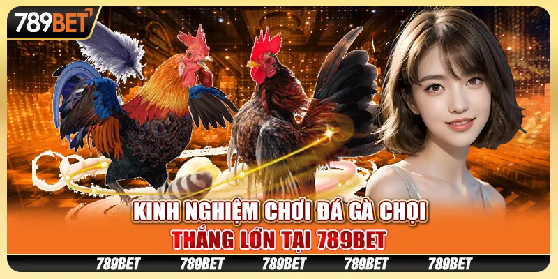 Kinh Nghiệm Chơi Đá Gà Chọi, Chiến Thắng Dễ Dàng Cùng 789BET