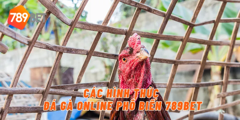 Các hình thức đá gà online phổ biến 789BET