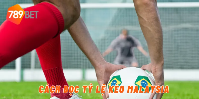 Cách đọc tỷ lệ kèo Malaysia