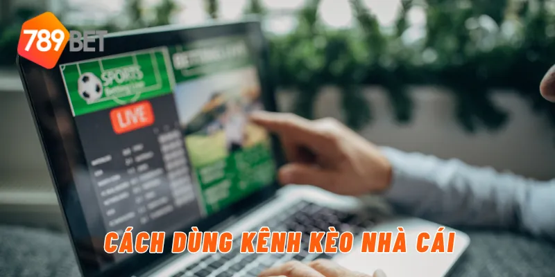 Cách dùng kênh kèo nhà cái