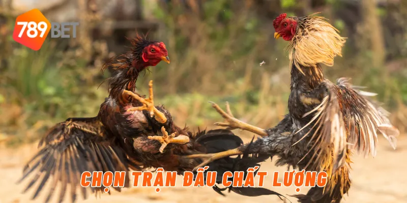 Chọn trận đấu chất lượng