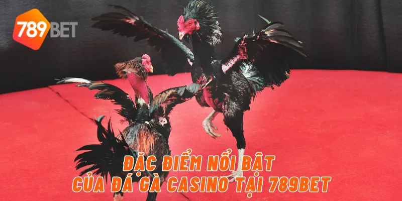 Đặc điểm nổi bật của đá gà casino tại 789BET
