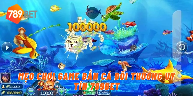 Mẹo chơi game bắn cá đổi thưởng uy tín 789BET