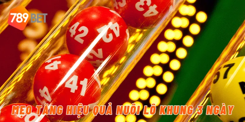Mẹo tăng hiệu quả nuôi lô khung 3 ngày