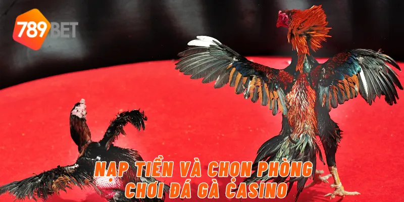 Nạp tiền và chọn phòng chơi đá gà Casino