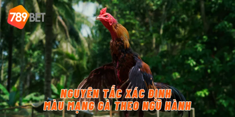 Nguyên tắc xác định màu mạng gà theo ngũ hành