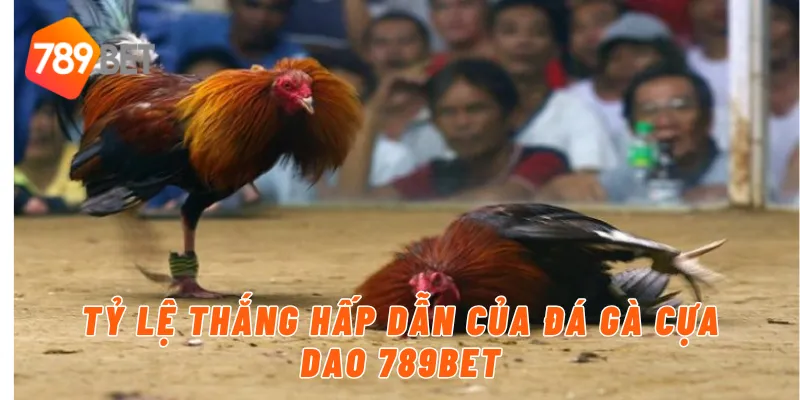 Tỷ lệ thắng hấp dẫn của đá gà cựa dao 789BET