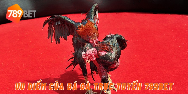 Ưu điểm của đá gà trực tuyến 789BET