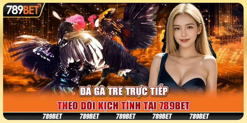 Đá Gà Tre Trực Tiếp, Theo Dõi Kịch Tính Tại 789BET