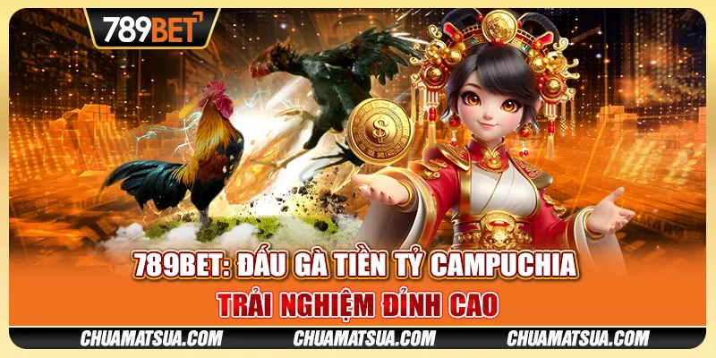 789BET: Đấu gà tiền tỷ Campuchia - Trải nghiệm đỉnh cao