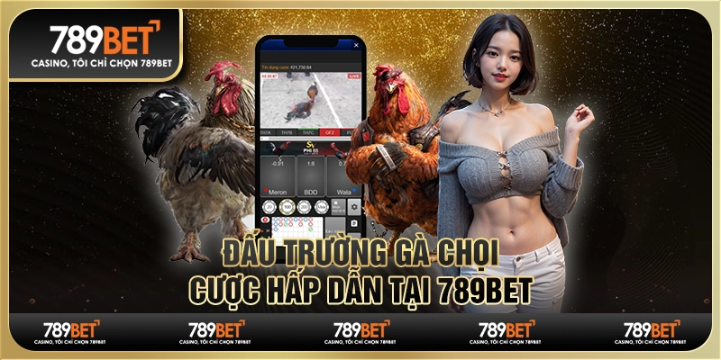 Đấu Trường Gà Chọi – Cược Hấp Dẫn Tại 789BET