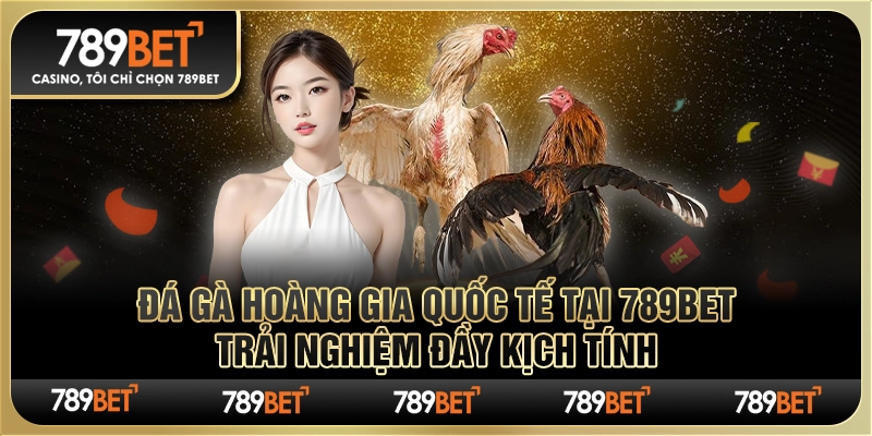 Đá Gà Hoàng Gia Quốc Tế tại 789Bet: Trải Nghiệm Đầy Kịch Tính