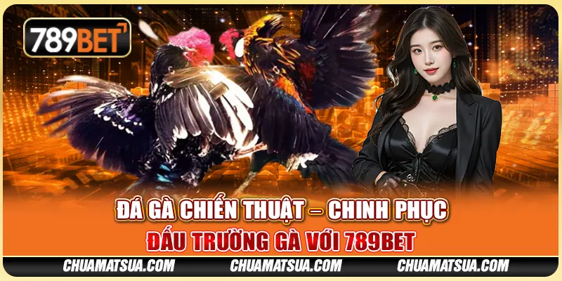 Đá gà chiến thuật – Chinh phục đấu trường gà với 789BET