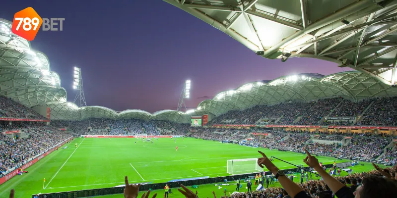 Các loại kèo đặt cược bóng đá V-League