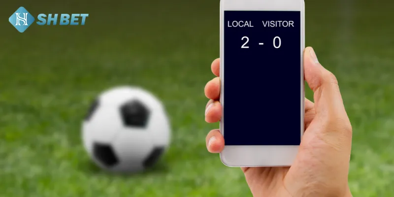 Các loại kèo phổ biến trong cá cược vòng loại Euro