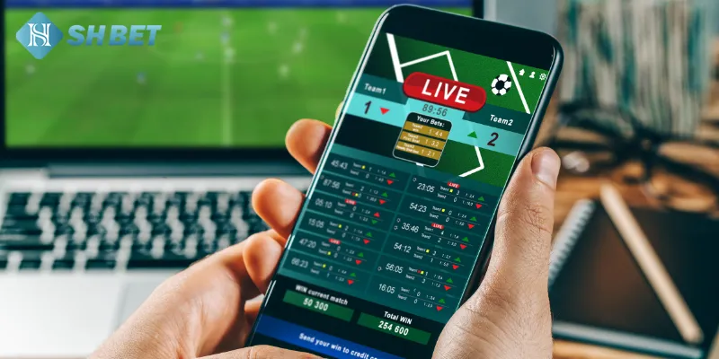 Các yếu tố cần xem xét khi cá cược vòng loại Euro