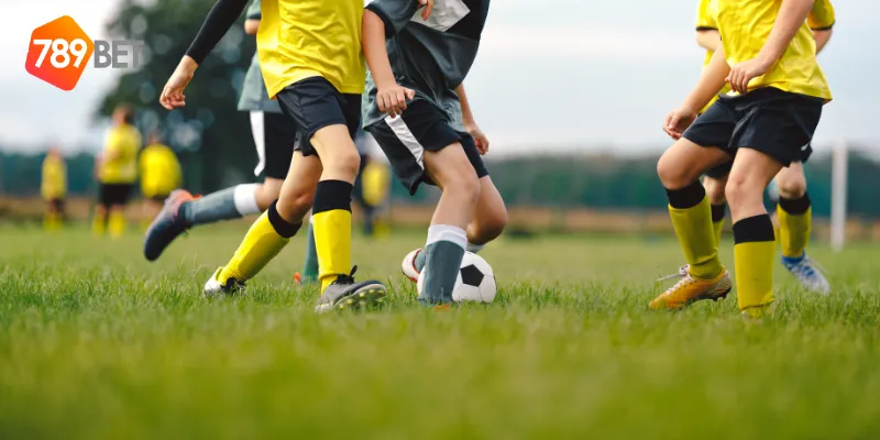 Đặt cược bóng đá V-Leage giải đấu hàng đầu Việt Nam