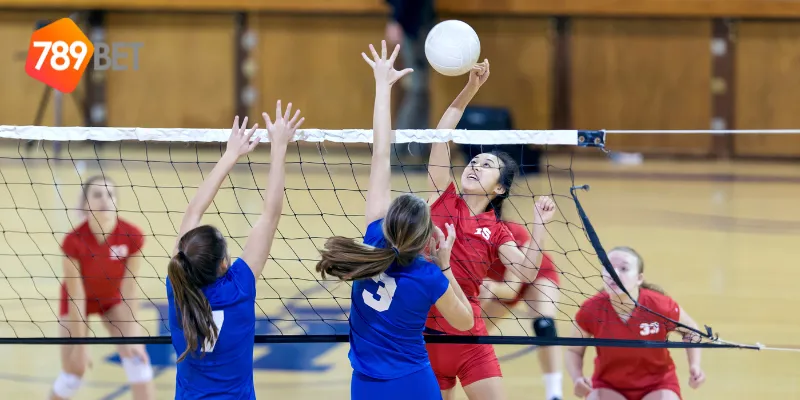 Tin tức bóng chuyền nữ được cập nhật chính xác và nhanh chóng