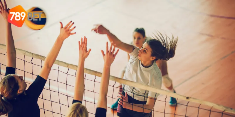 Tin tức bóng chuyền nữ được cập nhật trên các nền tảng