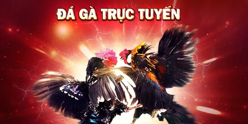 Các chiến thuật cá cược hiệu quả 