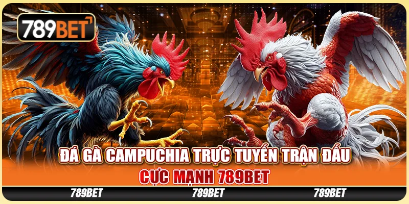 Đá Gà Campuchia Trực Tuyến Trận Đấu Cực Mạnh 789BET