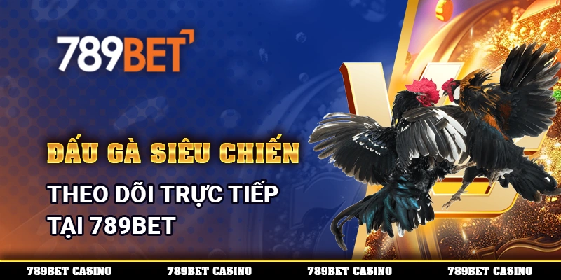 Đấu Gà Siêu Chiến, Theo Dõi Trực Tiếp Tại 789BET