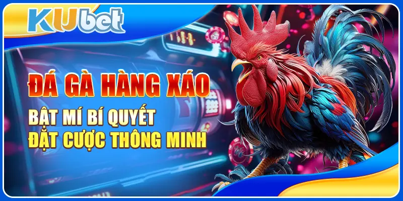 Đá Gà Hàng Xáo