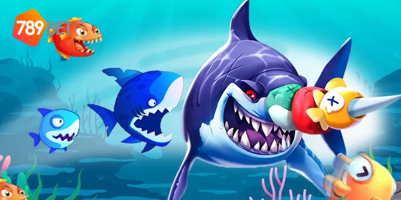 Cách chơi hải tặc đại chiến