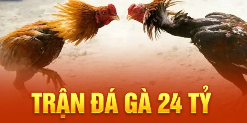 Tìm hiểu chi tiết về trận đá gà 24 tỷ