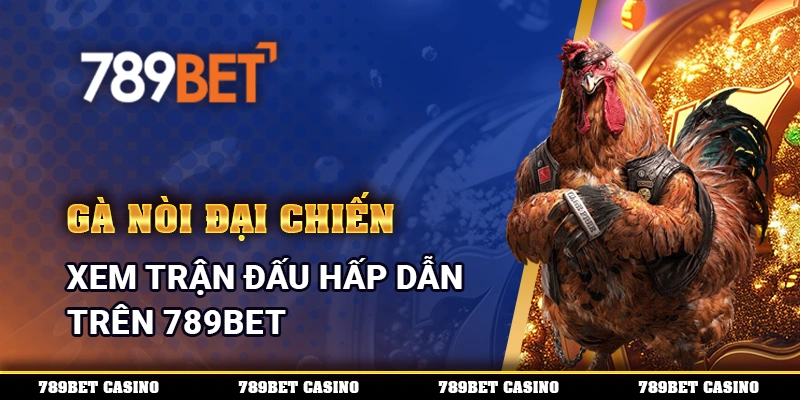 Gà Nòi Đại Chiến, Xem Trận Đấu Hấp Dẫn Trên 789BET