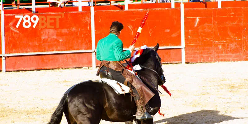 Các loại đặt cược game đua ngựa phổ biến